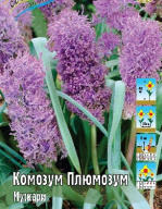 Мускари Комозум Плюмозум 