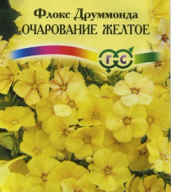 Флокс Друммонда Очарование желтое "Гавриш"