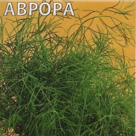 Укроп Аврора "Гавриш"