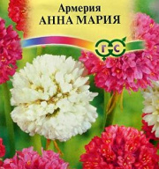 Армерия Анна Мария "Гавриш"