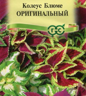 Колеус Блюме  Оригинальный "Гавриш"
