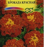 Бархатцы отклоненные Брокада Красная "Гавриш"