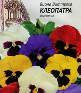 Виола Виттрока Клеопатра  "Гавриш"