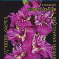 Гладиолус Инопланетянин