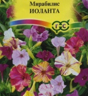 Мирабилис Иоланта "Гавриш"