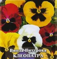 Виола Виттрока Клеопатра "Гавриш"