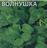 Горчица салатная Волнушка "Гавриш"