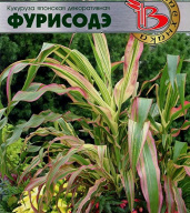 Кукуруза декоративная Фурисодэ "Биотехника"