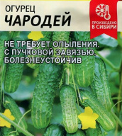 Огурец Чародей "семена Алтая"