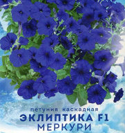 Петуния каскадная Эклиптика F1 Меркури "Биотехника"