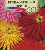 Цинния Великолепный принц "Гавриш"