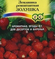 Земляника Золушка "Гавриш"
