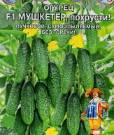 Огурец Мушкетер, похрусти F1 "Premium seeds"