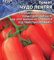Томат Чудо Лентяя "Уральский дачник"