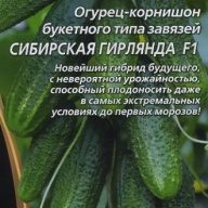 Огурец - корнишон Сибирская гирлянда F1 "Уральский дачник"