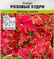 Колеус Розовые кудри "Русский огород"