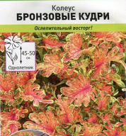 Колеус Бронзовые кудри "Русский огород"