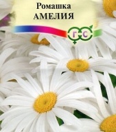 Ромашка Амелия  "Гавриш"