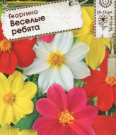 Георгина Веселые ребята "Premium seeds"