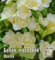 Фрезия Белая махровая