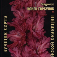 Гладиолус Конек Горбунок
