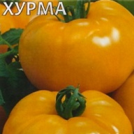 Томат Хурма "Гавриш"