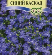 Лобелия апмельная Синий каскад "Гавриш"