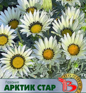 Газания Арктик Стар  "Биотехника"