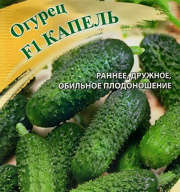 Огурец F1 Капель "Гавриш"