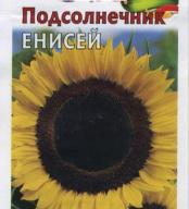Подсолнечник Енисей "Гавриш"