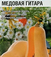 Тыква Медовая гитара "Сибирский сад"