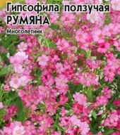 Гипсофила ползучая Румяна "Гавриш"