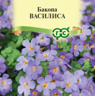 Бакопа Василиса "Гавриш"