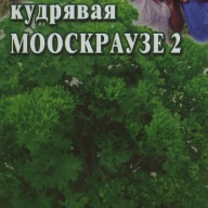 Петрушка кудрявая Мооскраузе 2 "Гавриш"