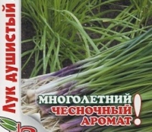 Лук душистый Ароматный "Биотехника"