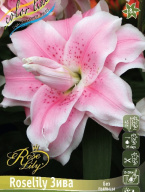 Лилии восточные Roselily Зива