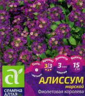 Алиссум морской Фиолетовая королева "Семена Алтая"