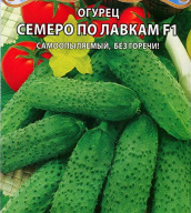 Огурец Семеро по лавкам F1 "Premium seeds"
