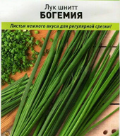 Лук шнитт Богемия "Русский огород"