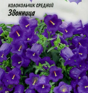 Колокольчик Звонница "Гавриш"
