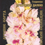 Гладиолус Прекрасное Далеко