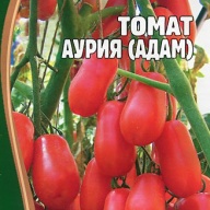 Томат Аурия (адам) "Решение"