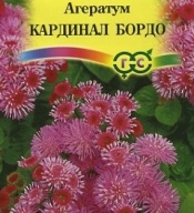 Агератум  Кардинал Бордо "Гавриш"