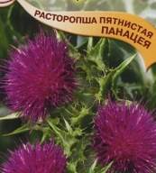 Расторопша пятнистая Панацея "Гавриш"