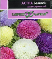 Астра Баллон разноцветный  "Гавриш"