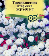 Тысячелистник птармика Жемчуг  "Гавриш"