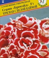 Глоксиния F1 Брокэйд красная с белой каймой "Престиж семена"