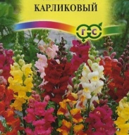 Львиный зев Карликовый   "Гавриш"