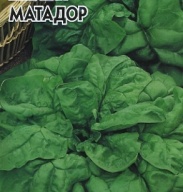 Шпинат Матадор "Гавриш"