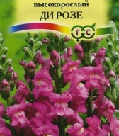 Львиный зев высокорослый Ди розе  "Гавриш"